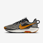 NIKE REACTX PEGASUS TRAIL5 26.0㌢ Nike Pegasus Trail 5 GORE-TEX Men's Waterproof Trail-Running